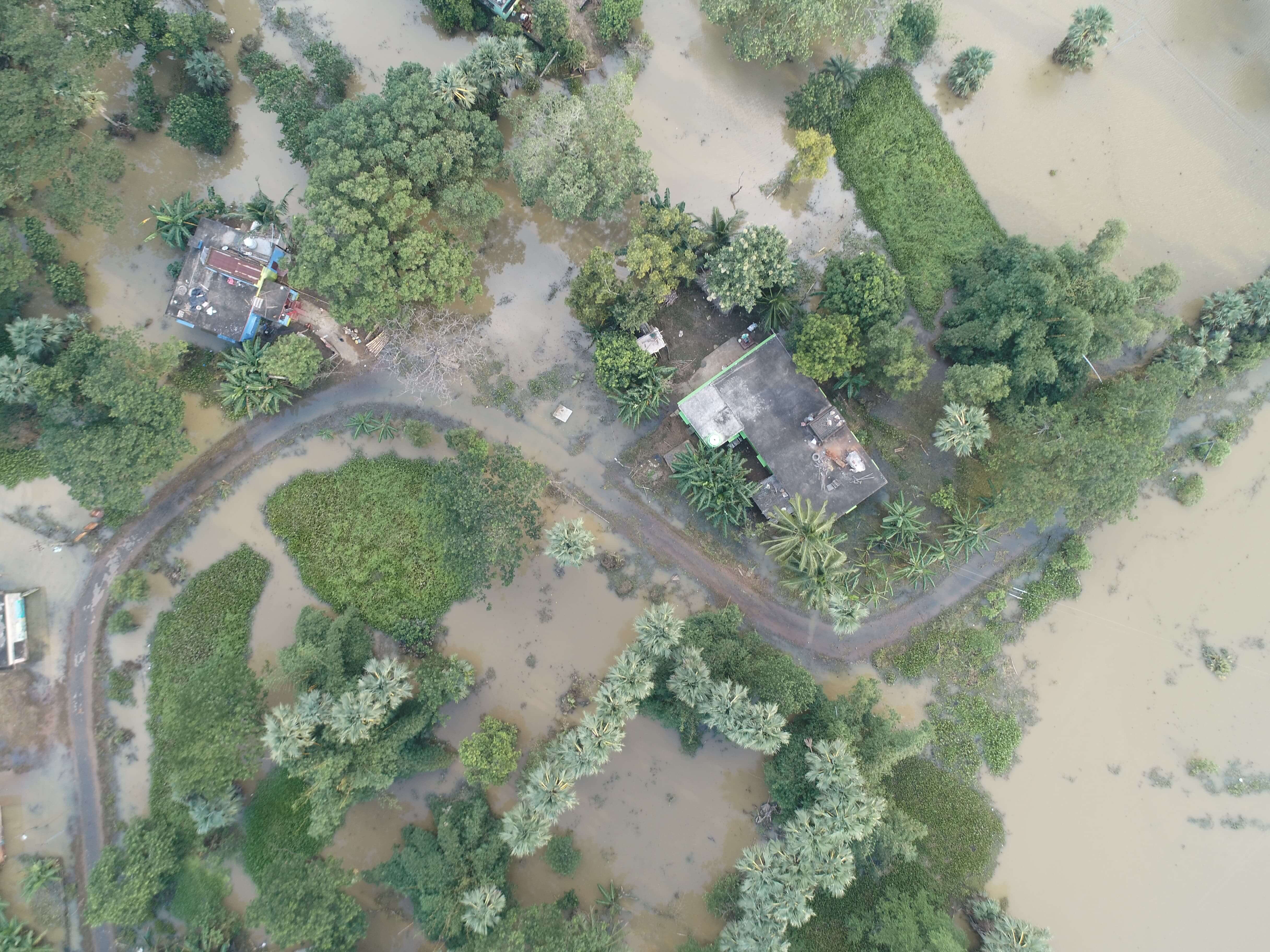 odisha flood case study