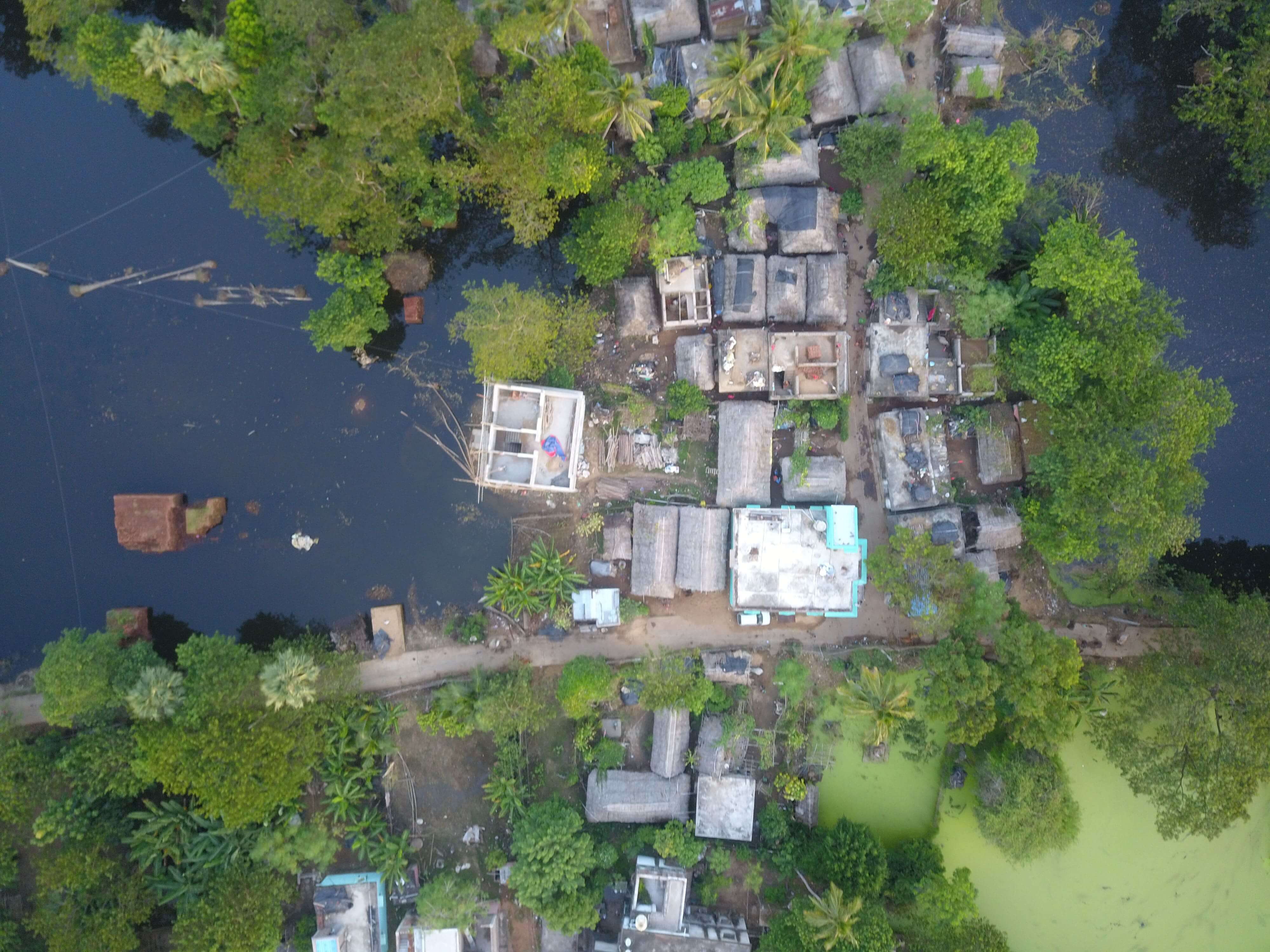 odisha flood case study