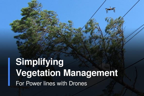Simplifying_Vegetation_Management_for_Power_Lines_with_Drones