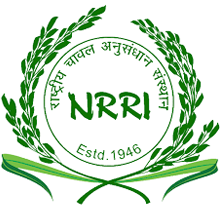 NRRI